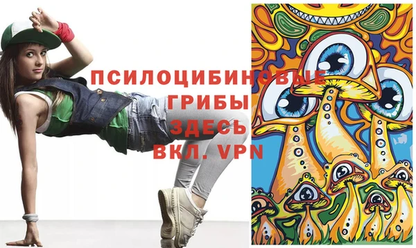 ешки Осташков