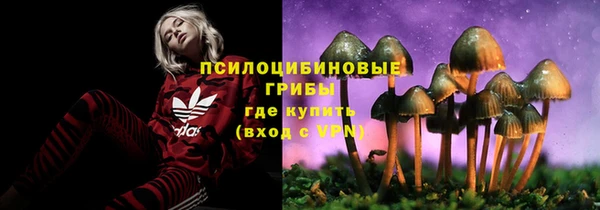 амф Остров