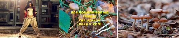 ешки Осташков