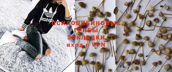 амф Остров