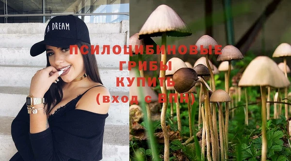 прущий лед Осинники