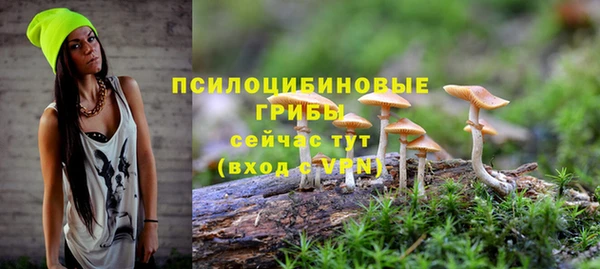 прущий лед Осинники